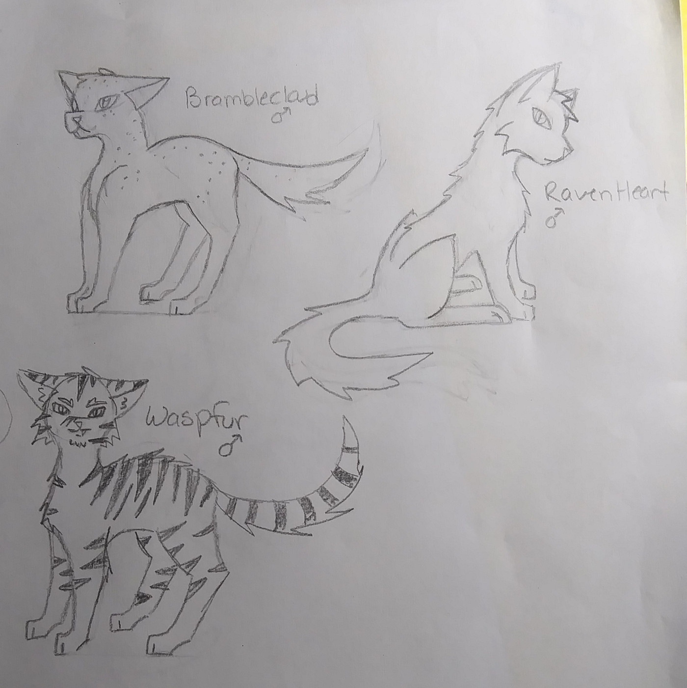how to draw a warrior cat manga
